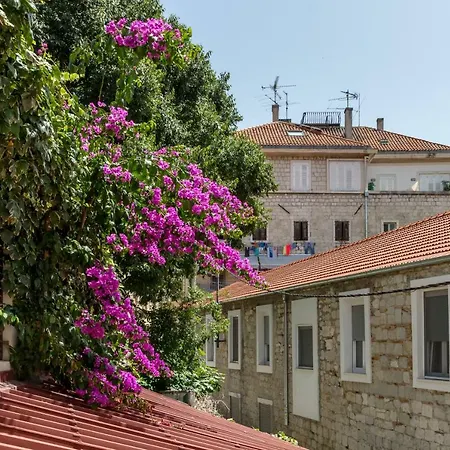 Studio Central Split Apartment
