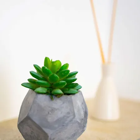 Studio Central Split